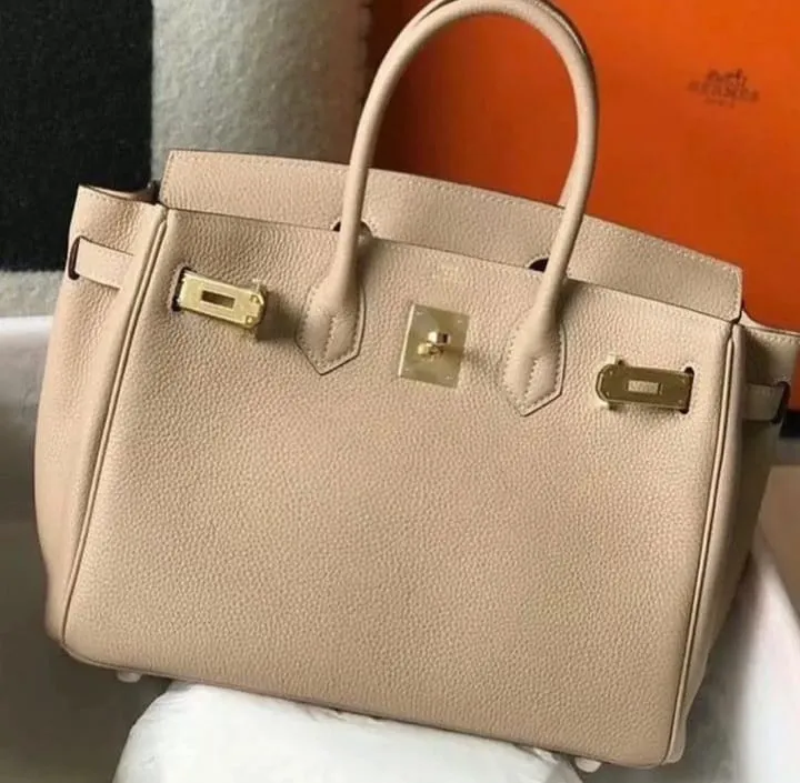 Designer Handbags - HMS - 6287