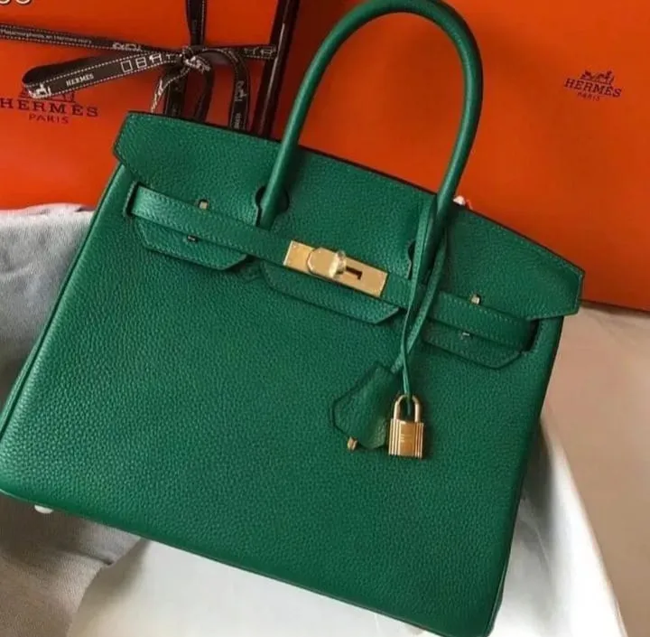 Designer Handbags - HMS - 6287