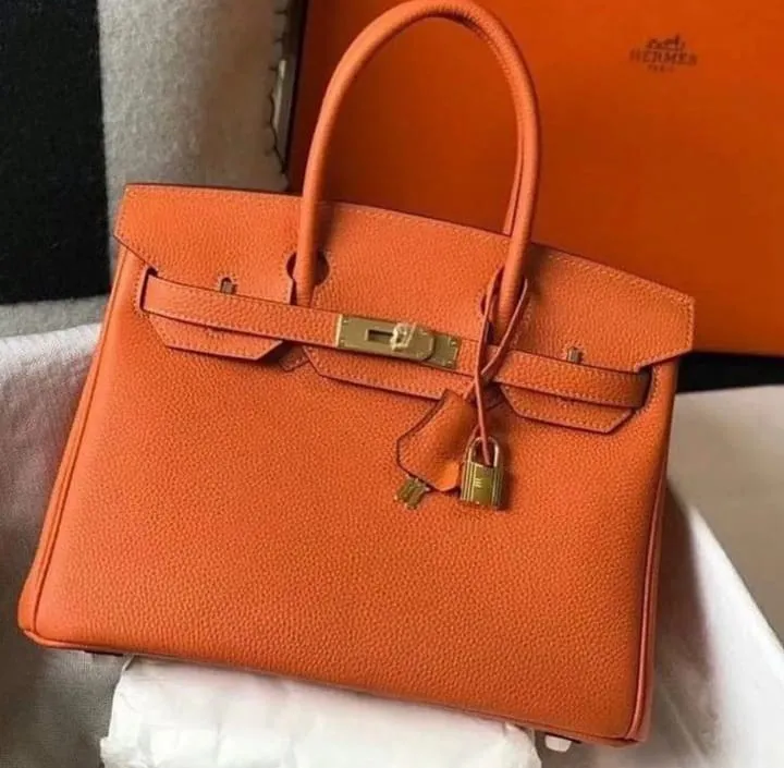 Designer Handbags - HMS - 6287