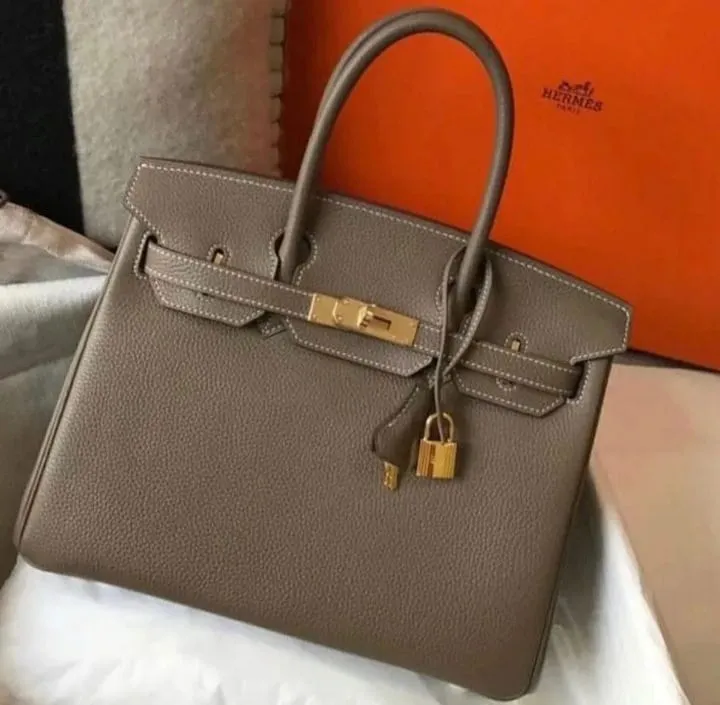 Designer Handbags - HMS - 6287